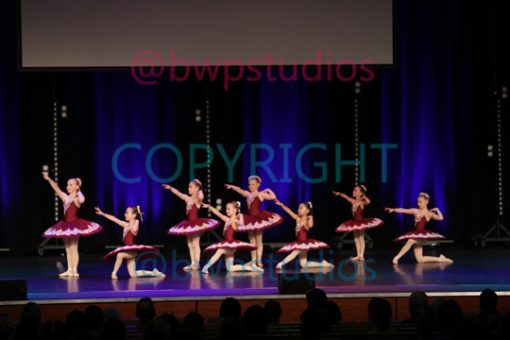 B01 1497