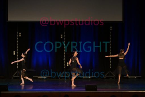 B14 9303