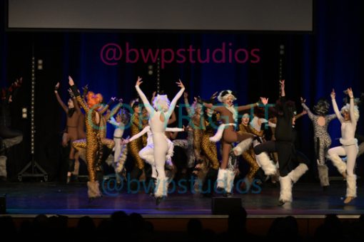 THEATRE DANCE Open Musical Chorus